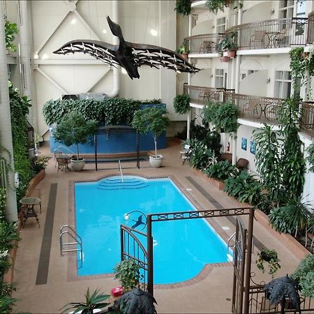 Hotel L'Oie Des Neiges Lévis Zewnętrze zdjęcie