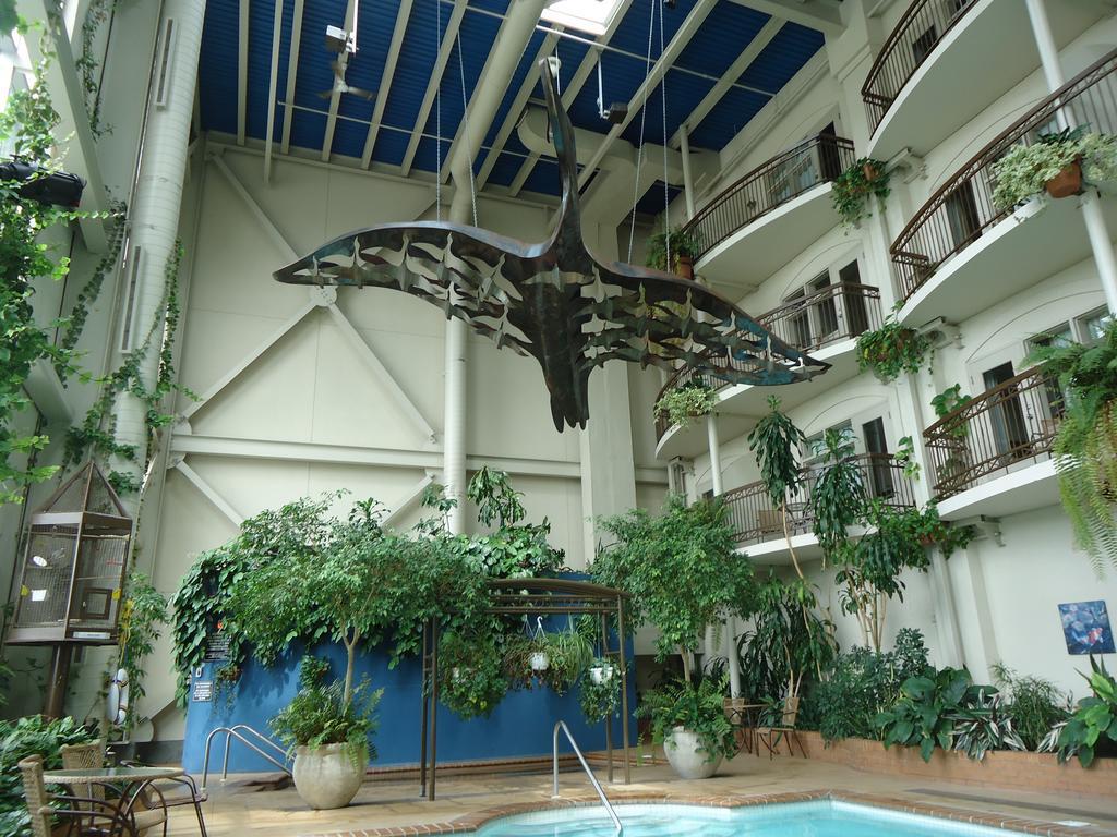 Hotel L'Oie Des Neiges Lévis Zewnętrze zdjęcie